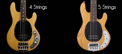 strings bass stingray
